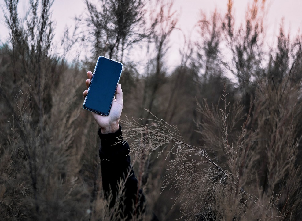 Un bras qui sort d'un buisson en tenant un smartphone