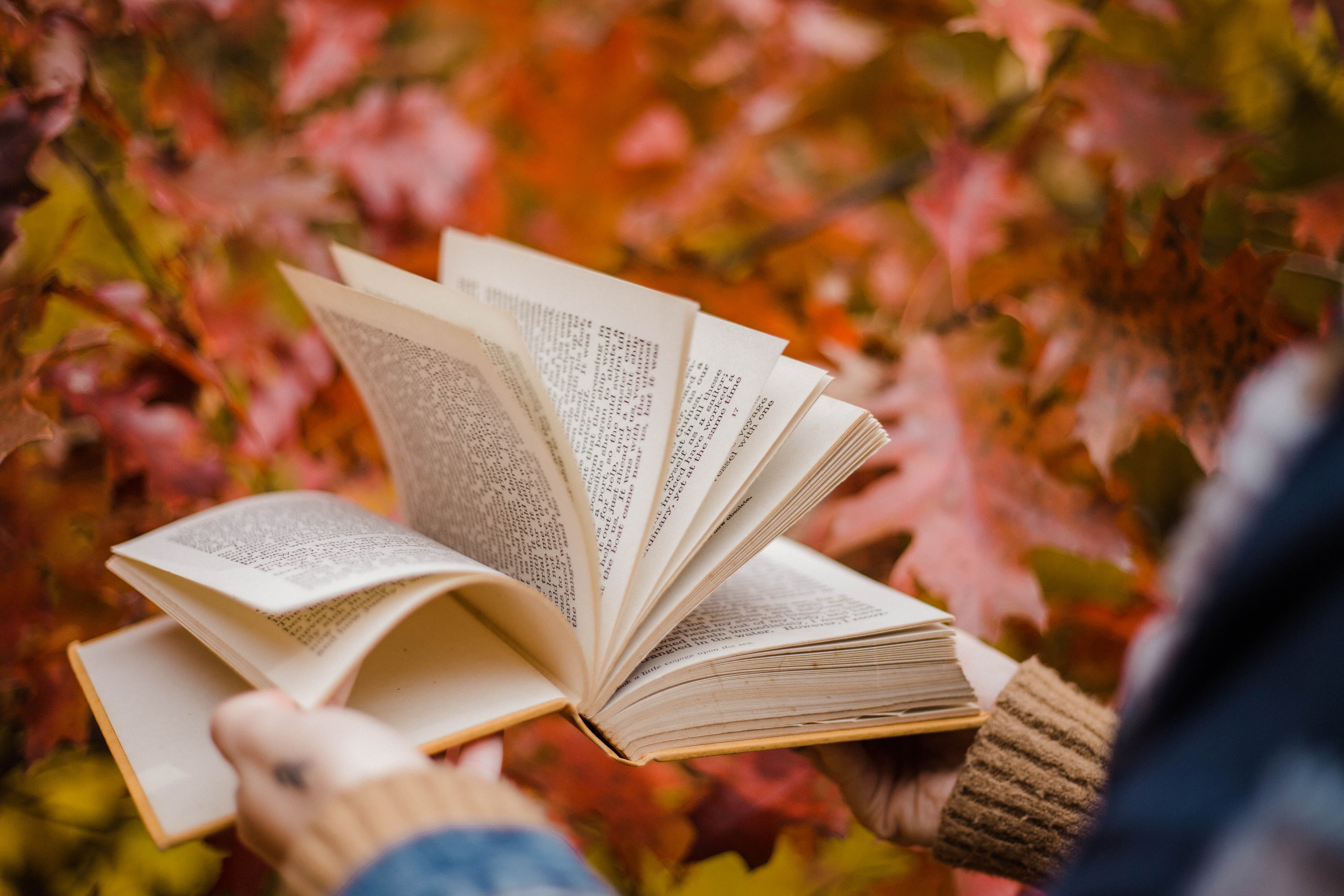Livre ouvert sur fonds de feuilles d'automne