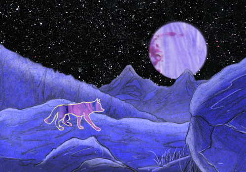 Illustration chien-loup et pleine lune