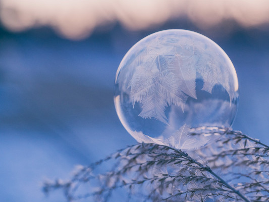photo d'une bulle gelée posée sur une branche avec un fonds flou et bleu