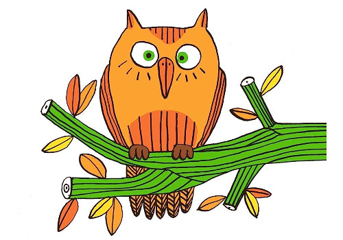 Illustration d'un hibou sur sa branche